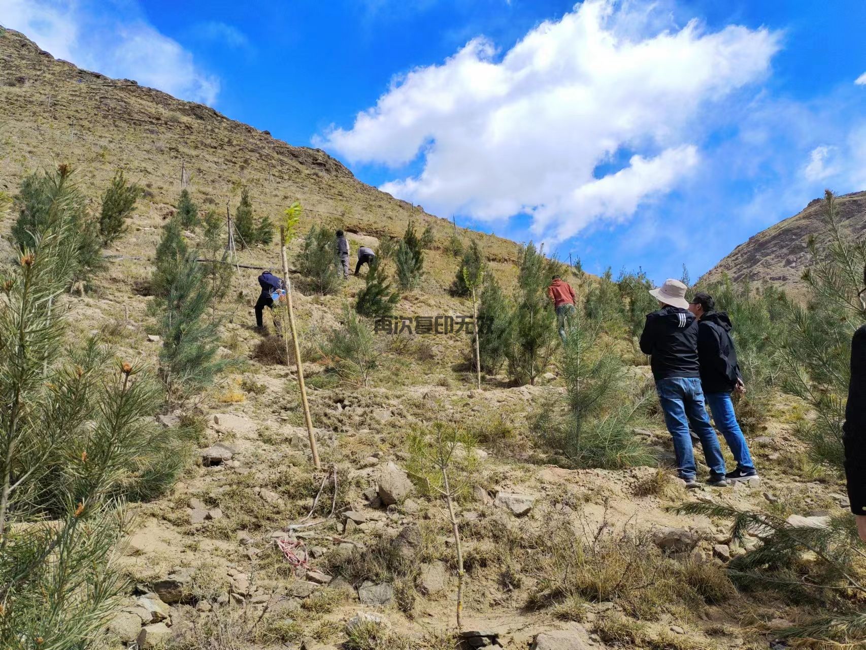 西藏嘉棟工程，與你共繪六一歡樂(lè)時(shí)光